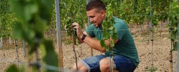 Weingut Daniel M[a]ttern